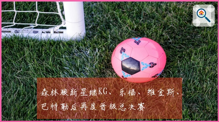 森林狼新星继KG、乐福、维金斯、巴特勒后再度晋级总决赛